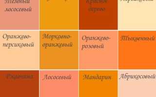 МЕЖДУНАРОДНАЯ ОБЩЕСТВЕННАЯ ОРГАНИЗАЦИЯ
